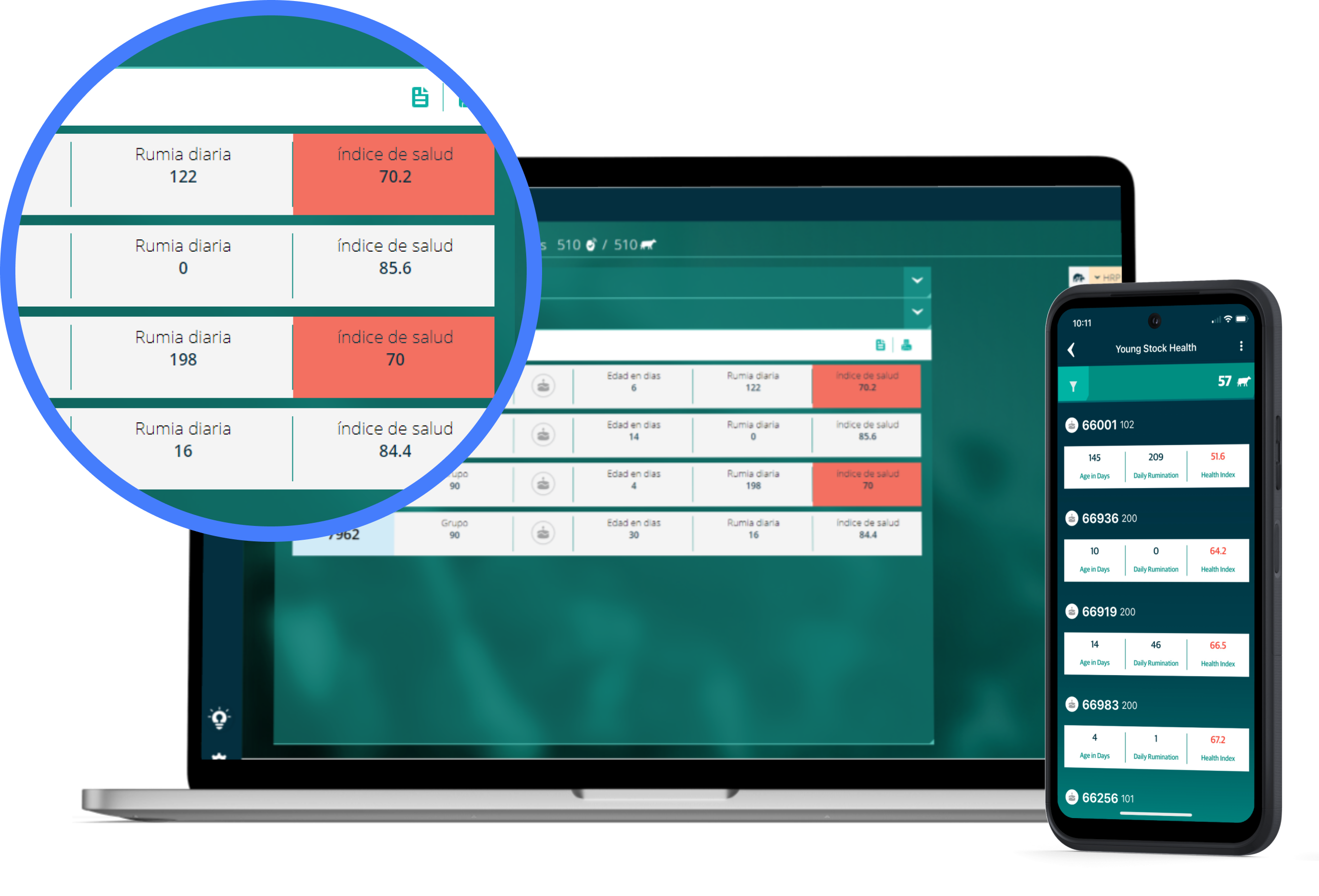 ordenador portátil y teléfono móvil con datos de youngstock