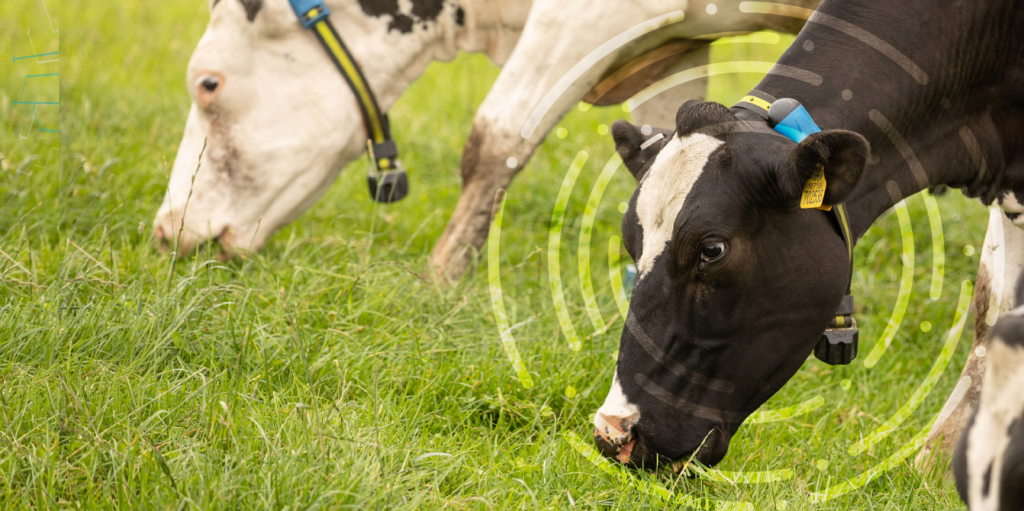 que-es-la-eficiencia-reproductiva