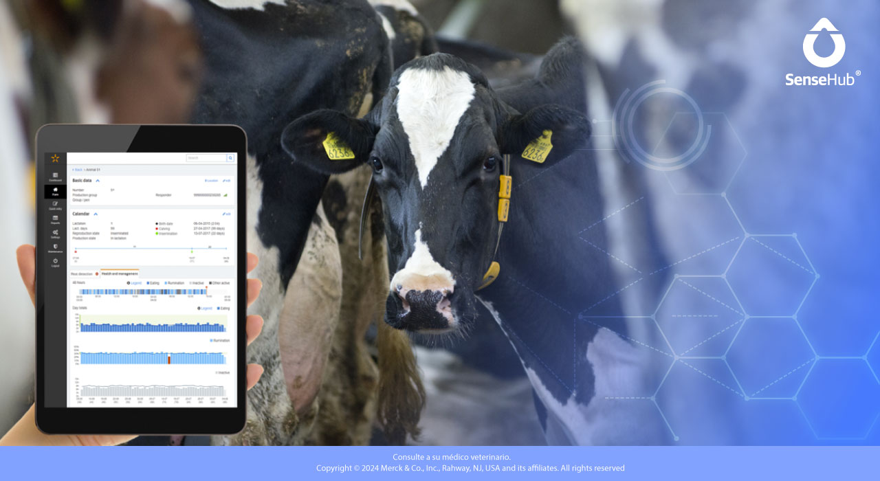 Monitoreo del estado de salud del hato para elevar la producción