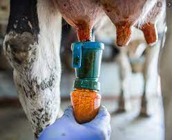 rutina-de-lavado-de-equipos-de-ordeno