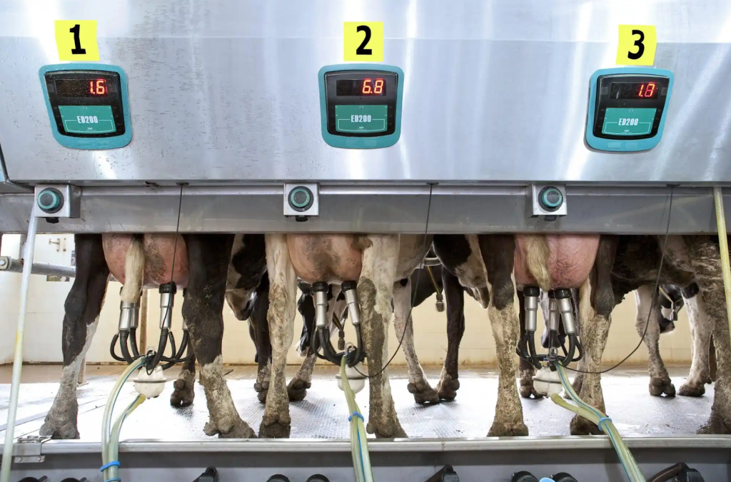 salas-de-ordeno-mecanico