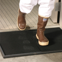 manejo-de-vacas-lecheras-en-produccion