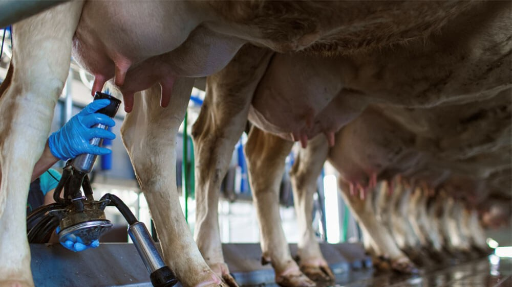 maquina-de-ordeno-mecanico