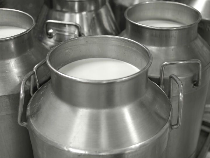 ordeno-manual-y-mecanico