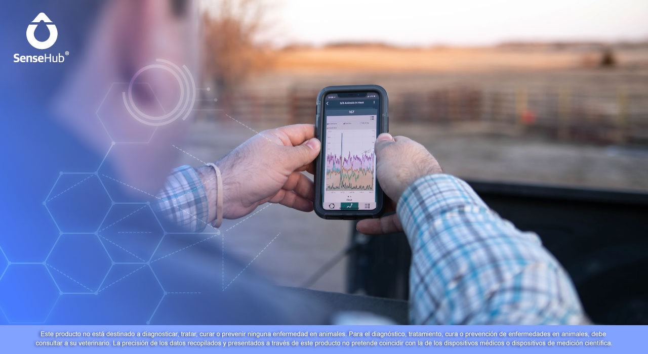 Automatiza el manejo del hato lechero y maximiza tu producción láctea