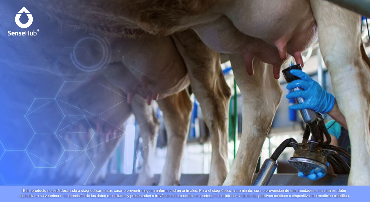 Errores en la sala de ordeño que afectan la calidad de la leche